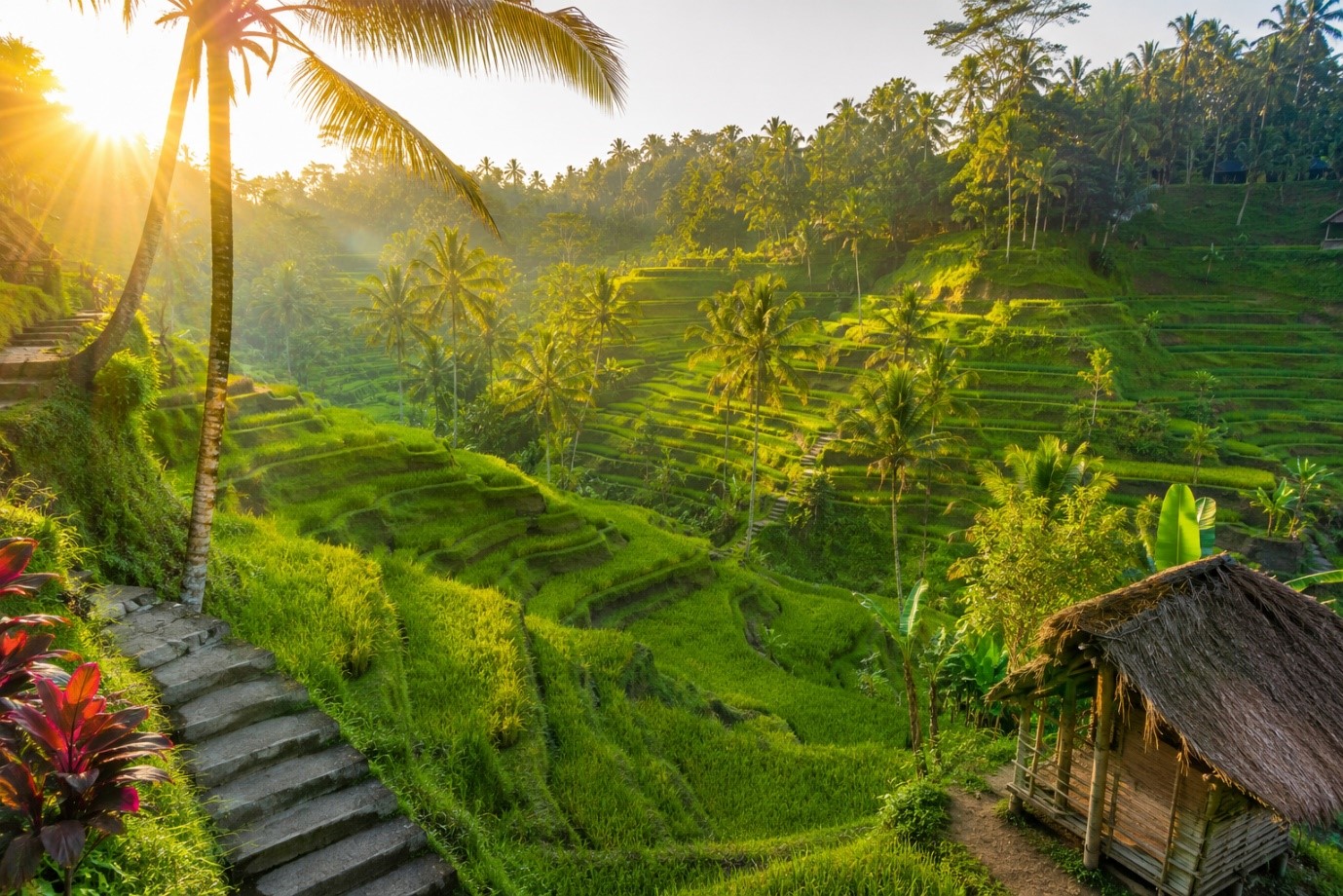 Exploring Ubud’s Hidden Waterfalls and Rice Terraces